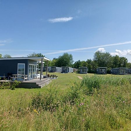 Chalet Babbelaar 6 - Premium Locatie Lauwersoog Eksteriør billede