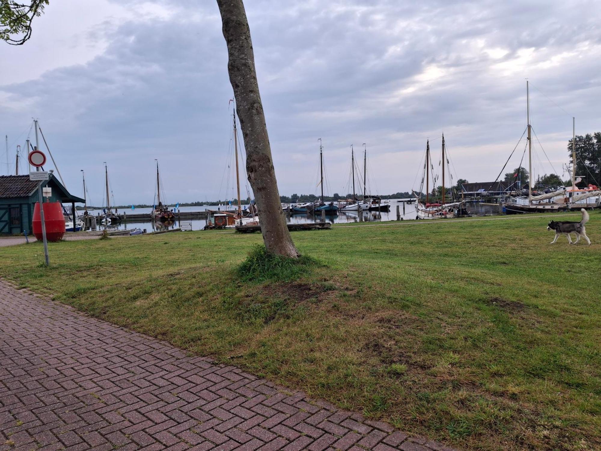 Chalet Babbelaar 6 - Premium Locatie Lauwersoog Eksteriør billede